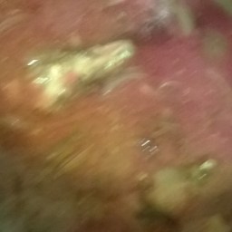 Tomato Stew With Canned Titus And Ugba