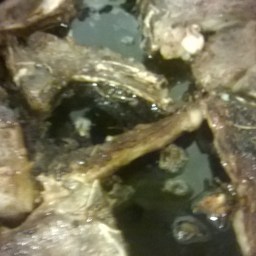 Ethiopan Goat Or Lamb Chops