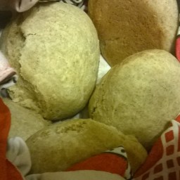 Homemade Whole  Wheat Bread Rolls