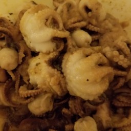 Fried Octopus