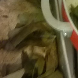 Ethiopian Mulmul Bread In Banana Leaves